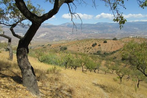 Cortijo i Cadiar, Granada, Cadiar - € 155.000 | Ref: CJ269 - foto 27